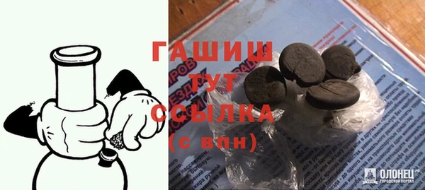 стаф Богданович