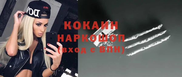 стаф Богданович