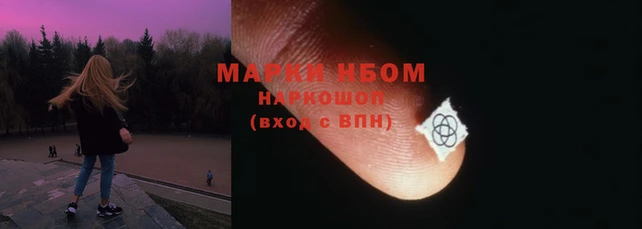 стаф Богданович
