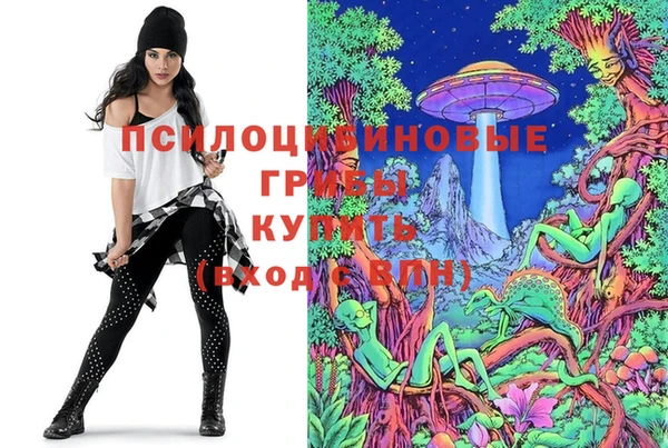 эйфоретик Бронницы