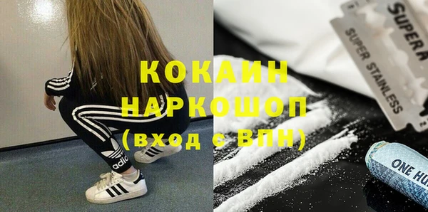 стаф Богданович
