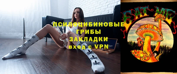 Альфа ПВП Бугульма