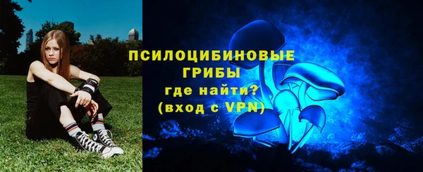 стаф Богданович