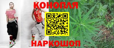 сатива Беслан