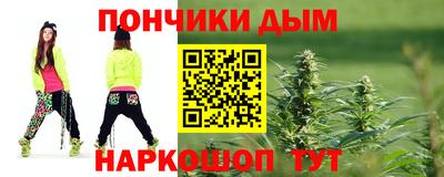 шишки Бийск