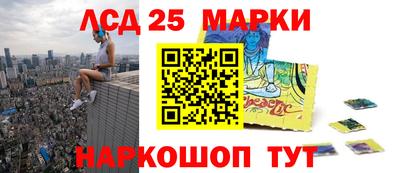 шишки Бийск