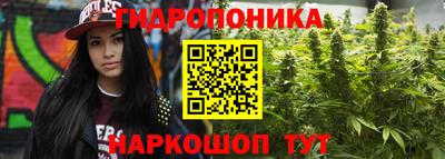 a pvp Апрелевка