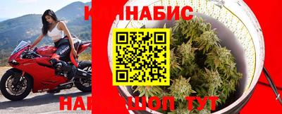 альфа пвп Аргун