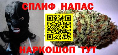 шишки Бийск