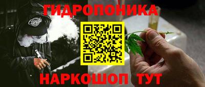 сатива Беслан