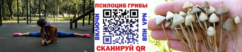Галлюциногенные грибы Magic Shrooms  Гудермес 