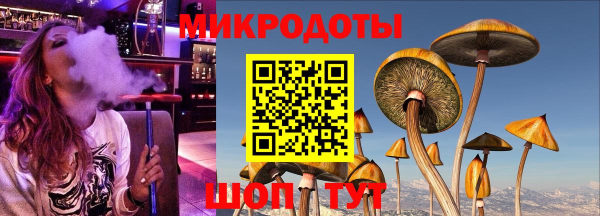 Галлюциногенные грибы ЛСД Гудермес